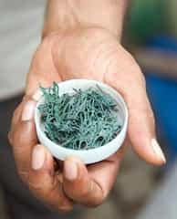 Spirulina / Czy spirulina jest zdrowa?