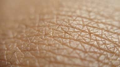skóra ludzka