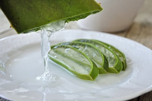 Ktry aloes jest jadalny? - Zdrowy styl ycia czyli jak je zdrowo